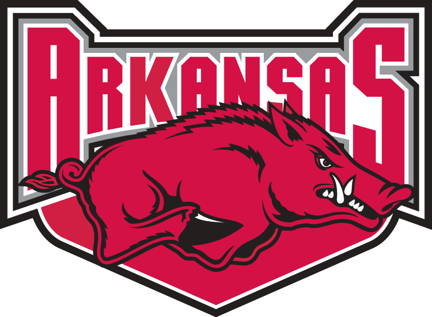 Arkansas Razorbacks 2001-2008 Alternate Logo iron on transfers for T-shirts